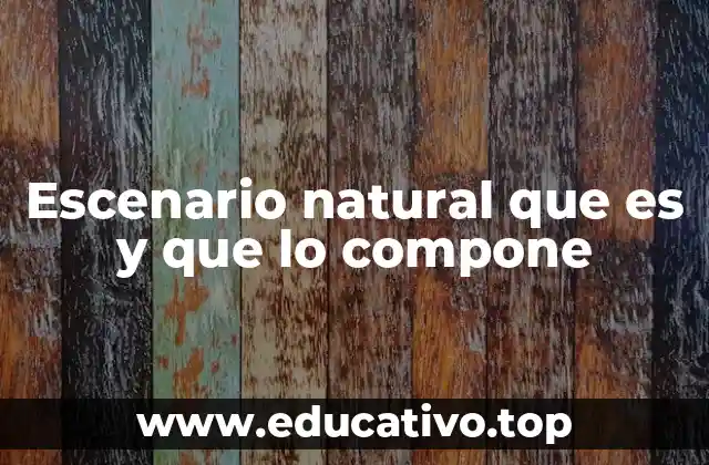 Escenario natural que es y que lo compone