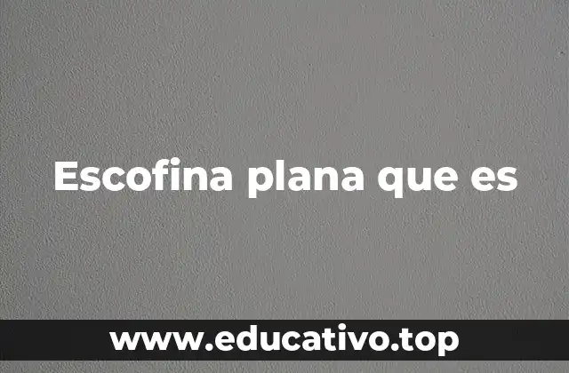 Escofina plana que es