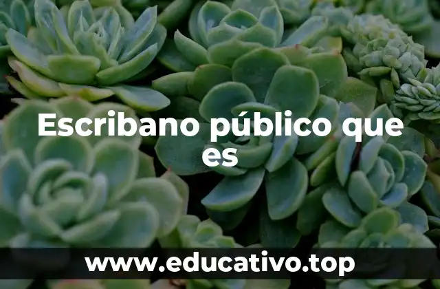 Escribano público que es