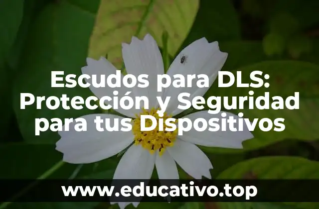 Escudos para DLS: Protección y Seguridad para tus Dispositivos