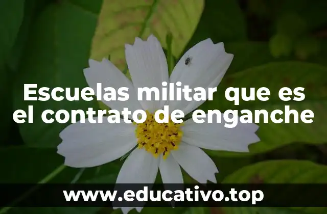 Escuelas militar que es el contrato de enganche