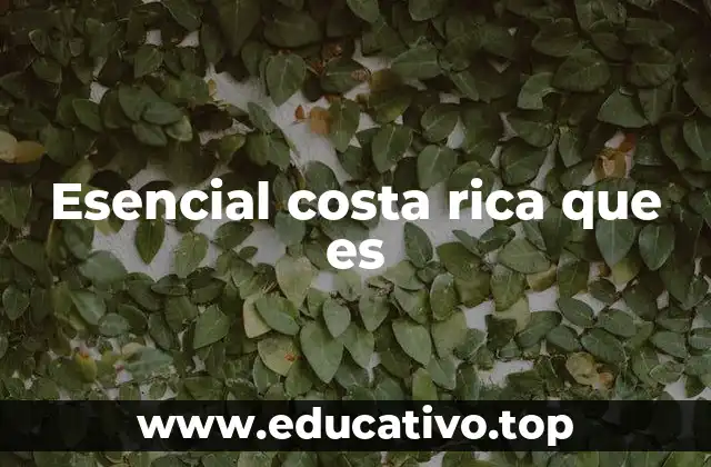Esencial costa rica que es