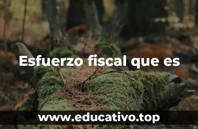 Esfuerzo fiscal que es