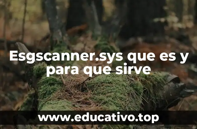 Esgscanner.sys que es y para que sirve