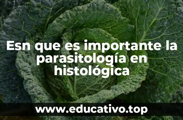 Esn que es importante la parasitología en histológica