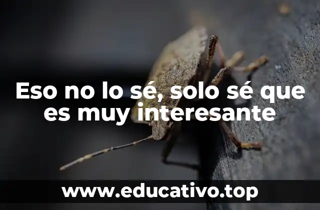 Eso no lo sé, solo sé que es muy interesante