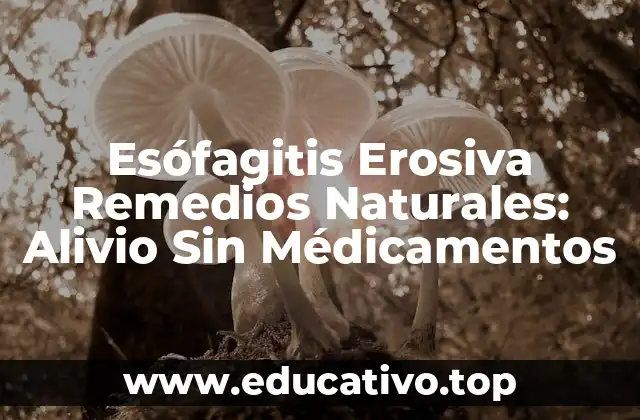 Esófagitis Erosiva Remedios Naturales: Alivio Sin Médicamentos