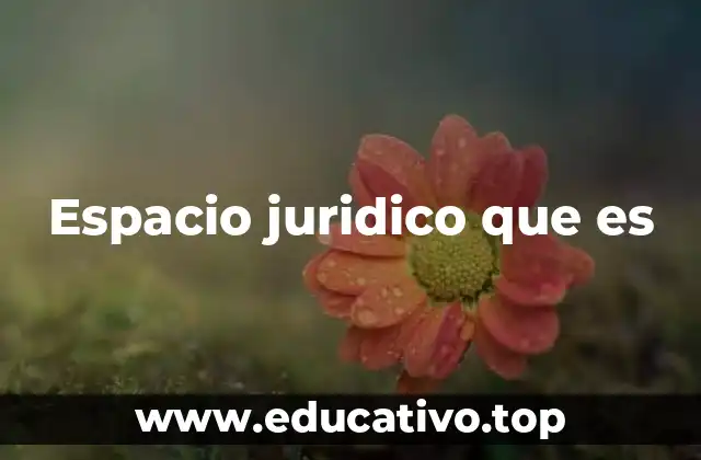Espacio juridico que es