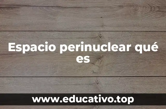 Espacio perinuclear qué es