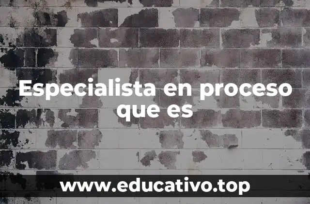 Especialista en proceso que es