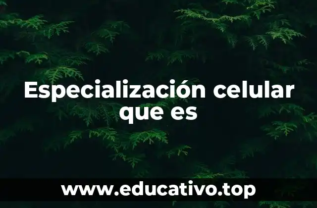 Especialización celular que es