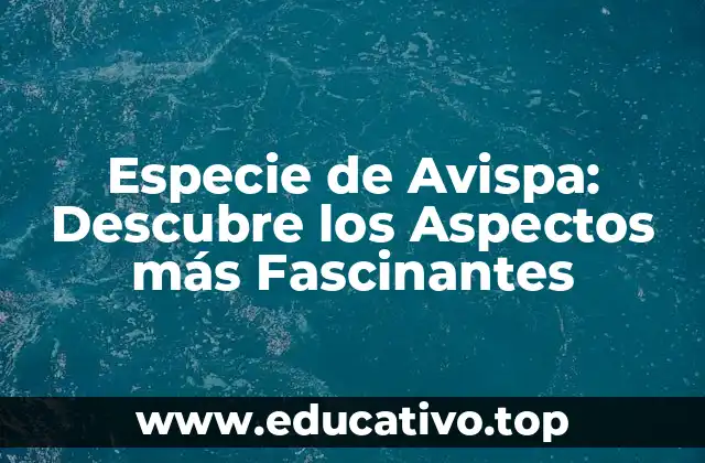 Especie de Avispa: Descubre los Aspectos más Fascinantes