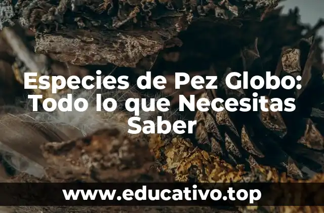 Especies de Pez Globo: Todo lo que Necesitas Saber