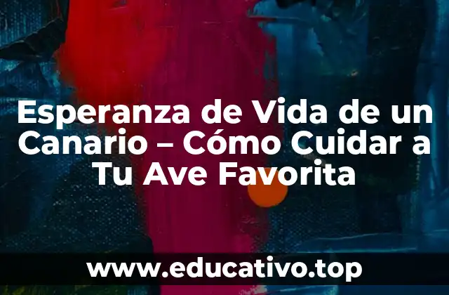Esperanza de Vida de un Canario – Cómo Cuidar a Tu Ave Favorita