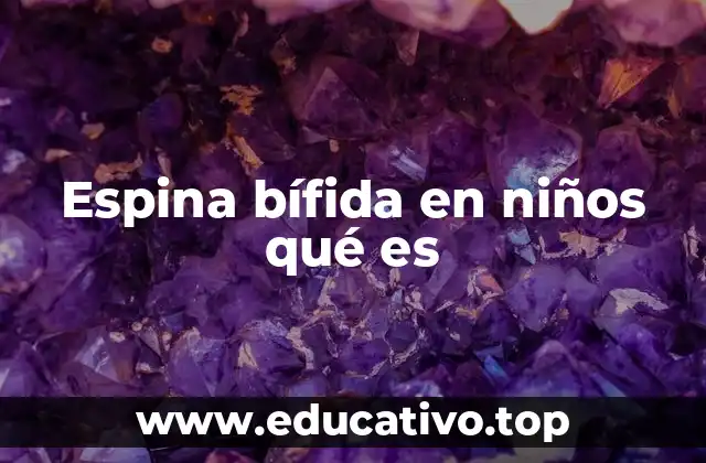 Espina bífida en niños qué es