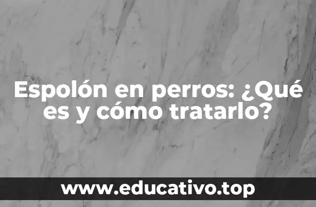 Anatomía del Espolón en Perros