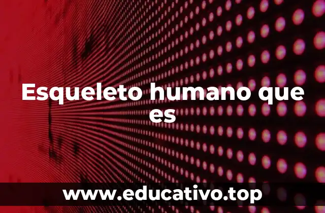 Esqueleto humano que es