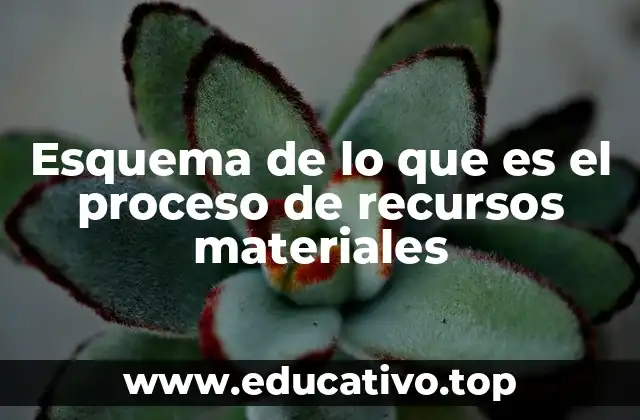 Esquema de lo que es el proceso de recursos materiales