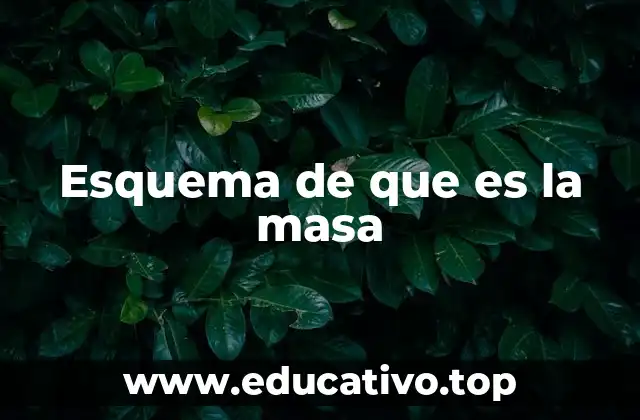 Esquema de que es la masa