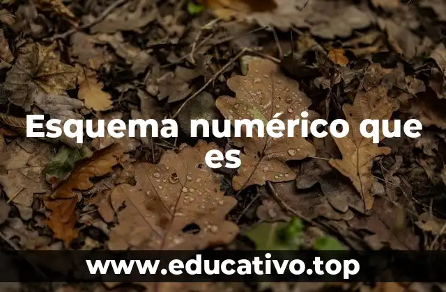 Esquema numérico que es