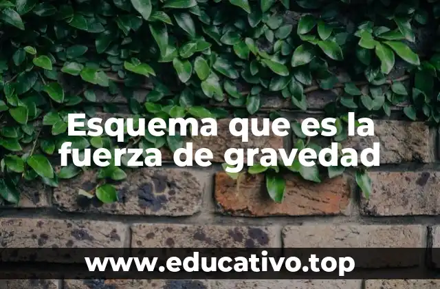 Esquema que es la fuerza de gravedad