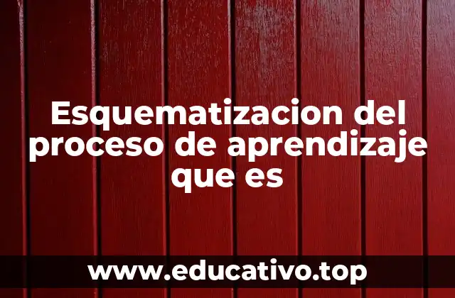 Esquematizacion del proceso de aprendizaje que es
