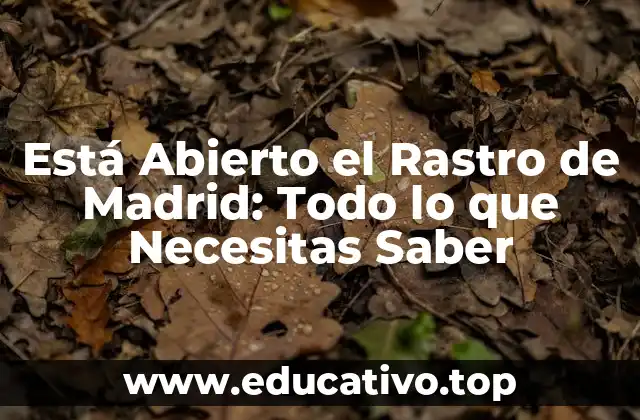 Está Abierto el Rastro de Madrid: Todo lo que Necesitas Saber