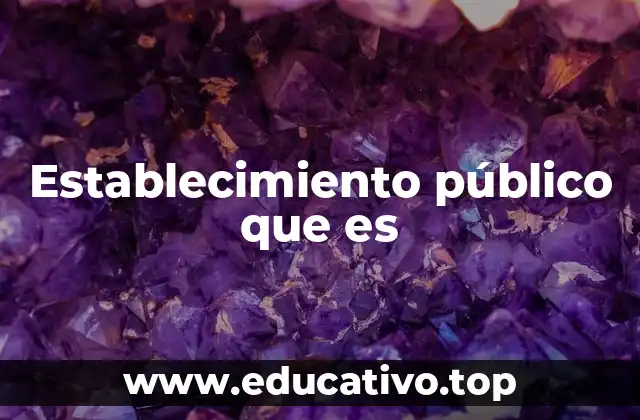 Establecimiento público que es