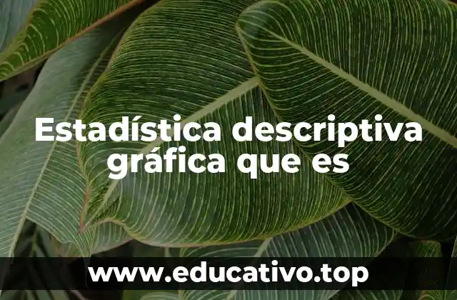 Estadística descriptiva gráfica que es