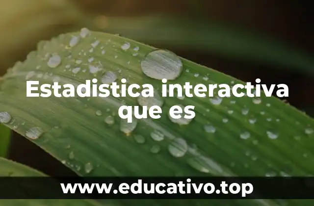 Estadistica interactiva que es