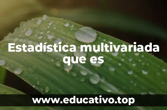 Estadística multivariada que es