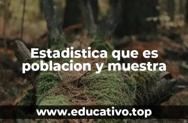 Estadistica que es poblacion y muestra