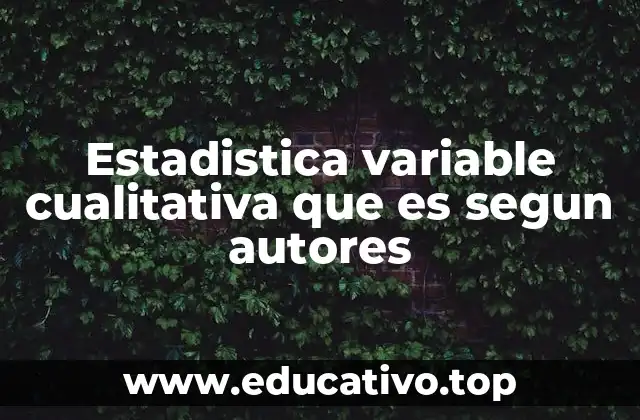 Estadistica variable cualitativa que es segun autores