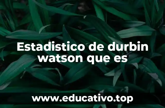 Estadistico de durbin watson que es