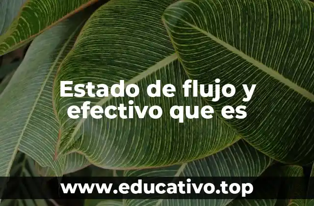 Estado de flujo y efectivo que es