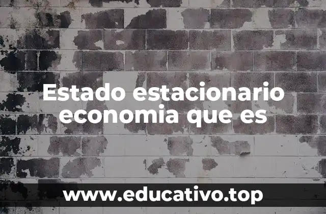 Estado estacionario economia que es