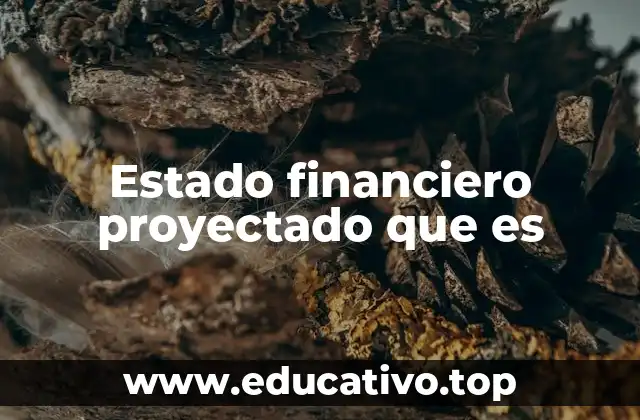 Estado financiero proyectado que es