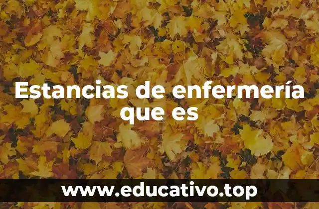 Estancias de enfermería que es