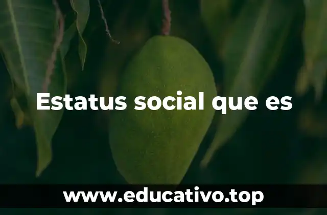 Estatus social que es