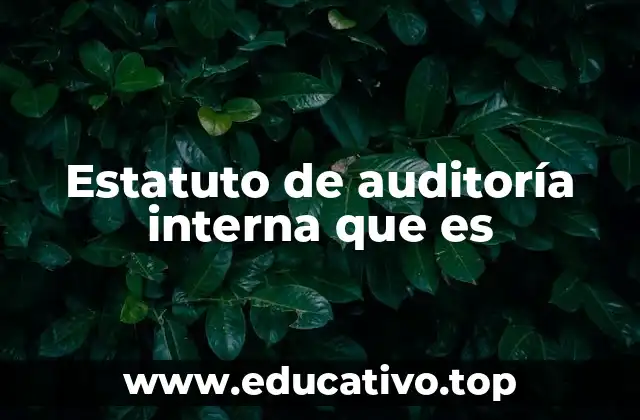 Estatuto de auditoría interna que es