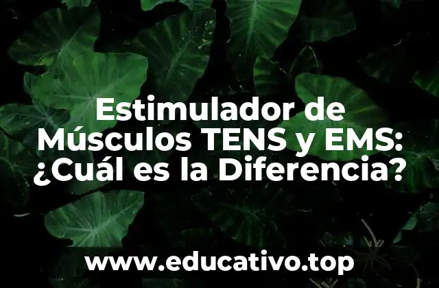 Estimulador de Músculos TENS y EMS: ¿Cuál es la Diferencia?