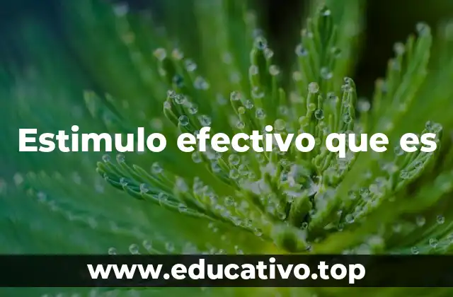 Estimulo efectivo que es