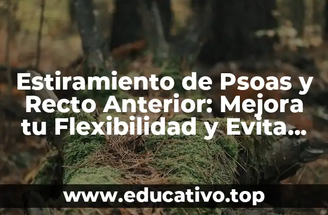 Estiramiento de Psoas y Recto Anterior: Mejora tu Flexibilidad y Evita lesiones