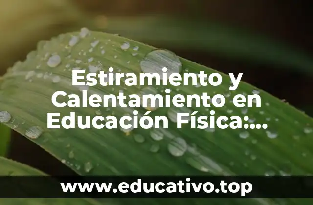Estiramiento y Calentamiento en Educación Física: Importancia y Técnicas