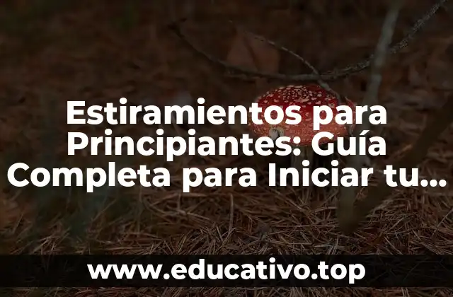 Estiramientos para Principiantes: Guía Completa para Iniciar tu Ruta de Flexibilidad