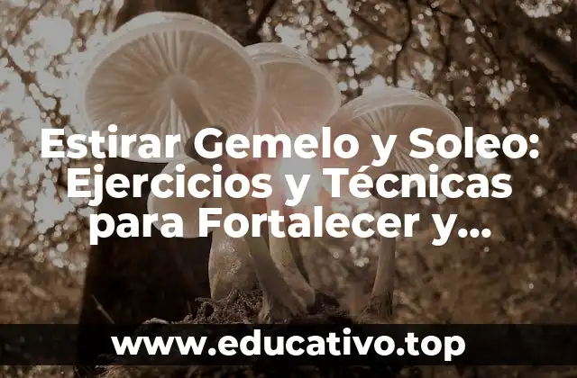 Estirar Gemelo y Soleo: Ejercicios y Técnicas para Fortalecer y Flexibilizar
