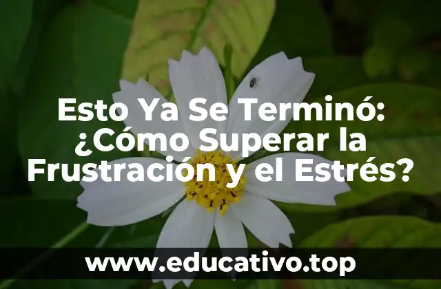 Esto Ya Se Terminó: ¿Cómo Superar la Frustración y el Estrés?