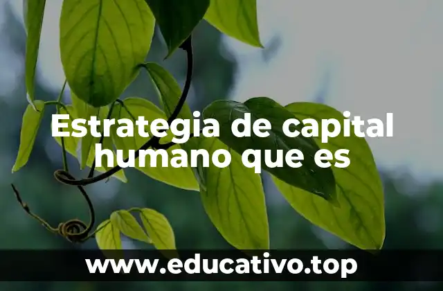 Estrategia de capital humano que es