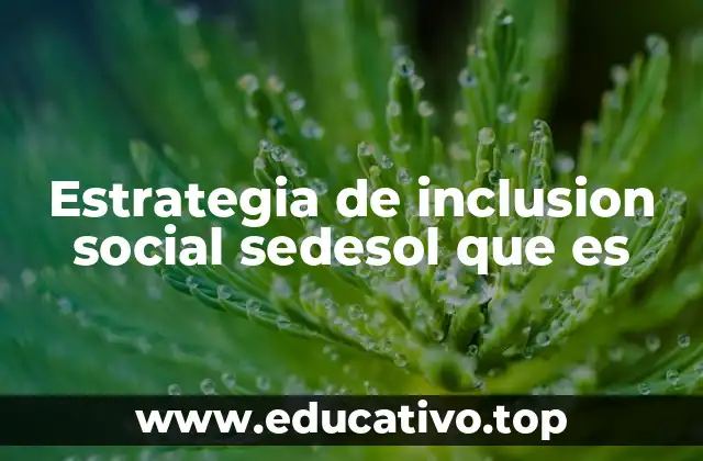 Estrategia de inclusion social sedesol que es