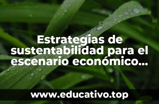 Estrategias de sustentabilidad para el escenario económico que es